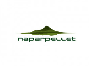 Naparpellet Logo cantabria